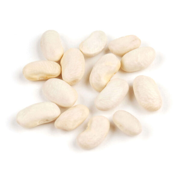 White Kidney Beans