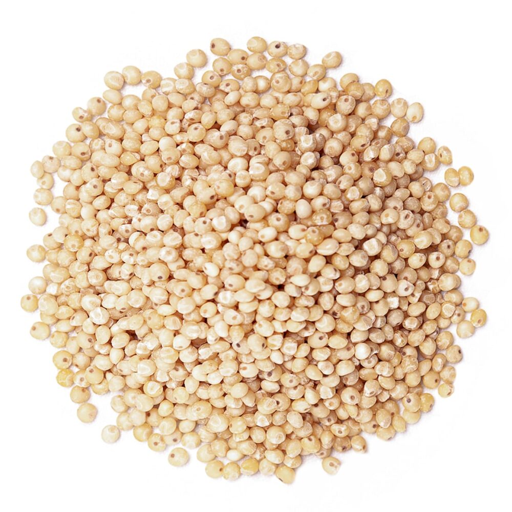 White Sorghum - Image 3