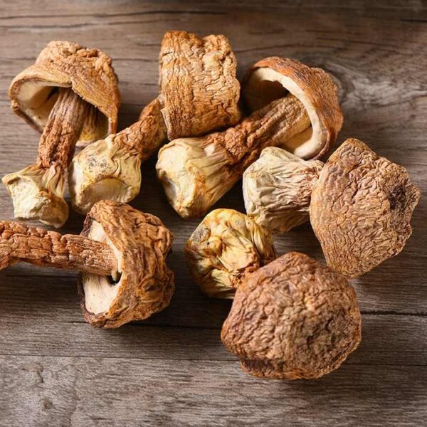 Dried Mushrooms