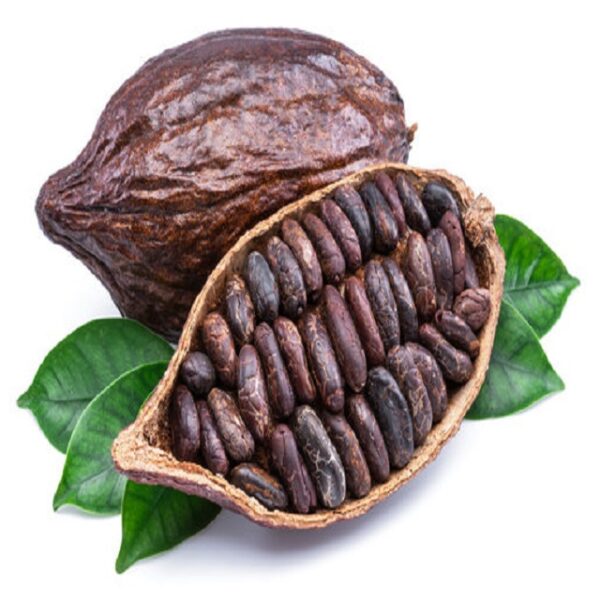 Cocoa Beans