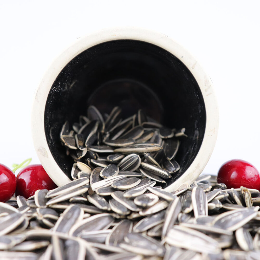 Sunflower Seeds Kernels - Image 3