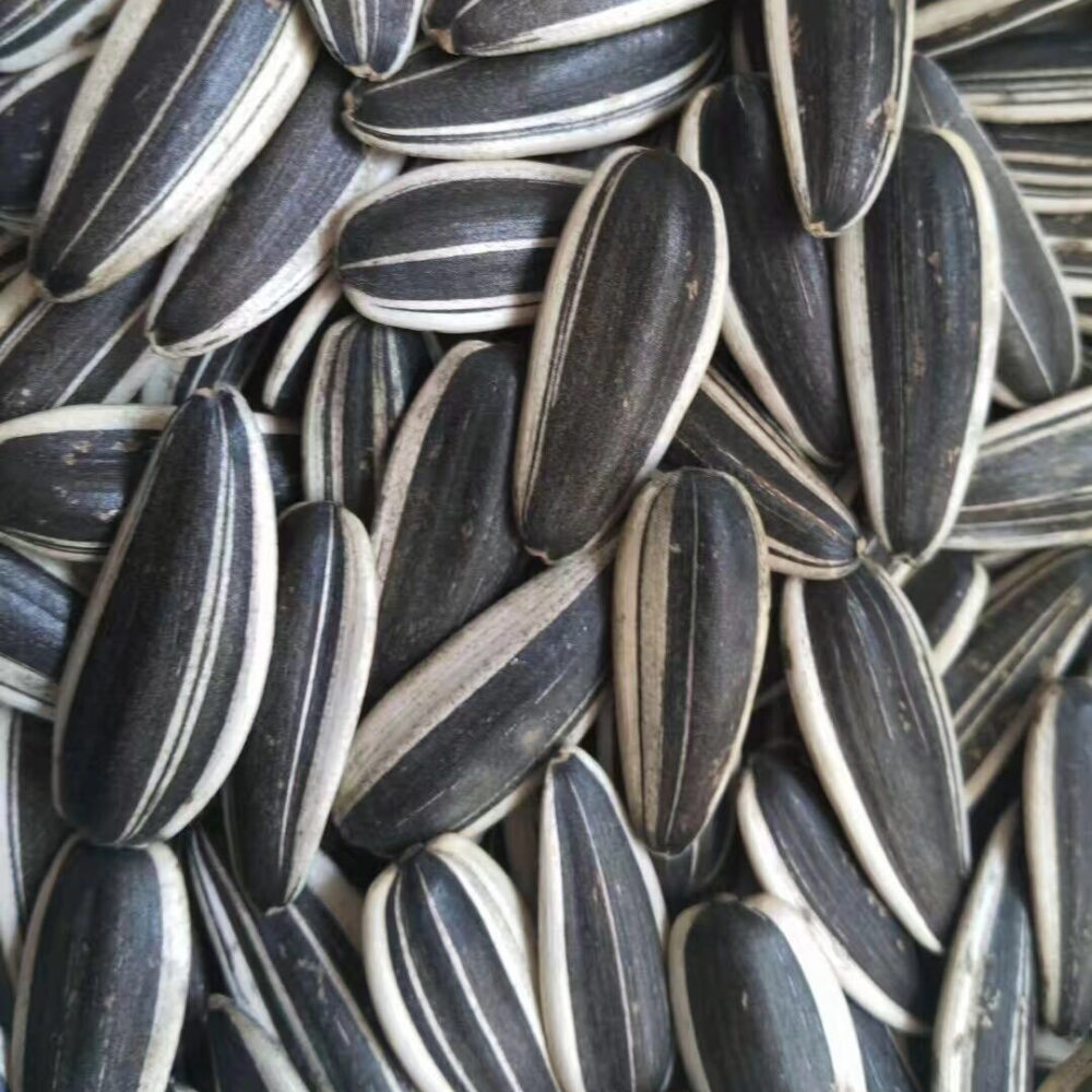 Sunflower Seeds Kernels - Image 2